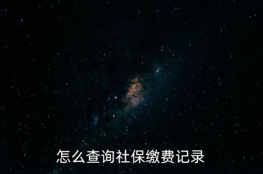 如何在地稅網(wǎng)繳納社保查詢，單位交了社保費在地稅網(wǎng)怎么查詢