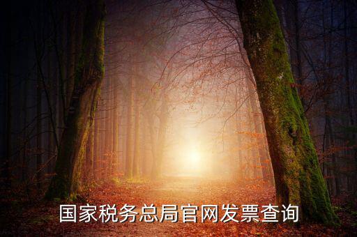 江蘇國稅如何查詢發(fā)票，江蘇發(fā)票真?zhèn)尾樵內(nèi)绾尾樵兘K發(fā)票真?zhèn)尾樵內(nèi)绾尾樵冏钪匾氖沁M