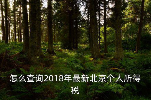 北京如何查詢個稅完稅證明，怎么查詢2018年最新北京個人所得稅