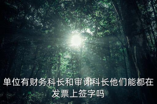 單位有財務(wù)科長和審計科長他們能都在發(fā)票上簽字嗎