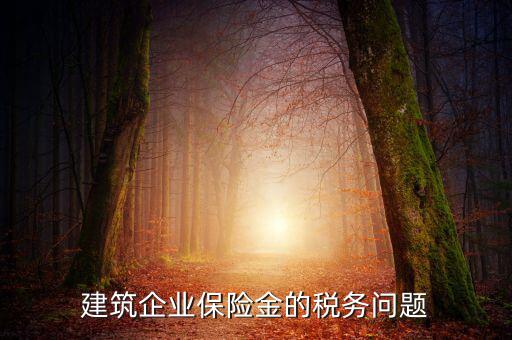 保險(xiǎn)公司稅務(wù)管理如何處理，建筑企業(yè)保險(xiǎn)金的稅務(wù)問題