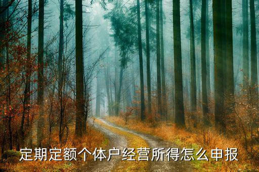 定期定額納稅人如何網(wǎng)上申報，稅務(wù)申報如何網(wǎng)上申報