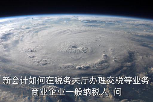 新會計如何在稅務(wù)大廳辦理交稅等業(yè)務(wù)商業(yè)企業(yè)一般納稅人  問