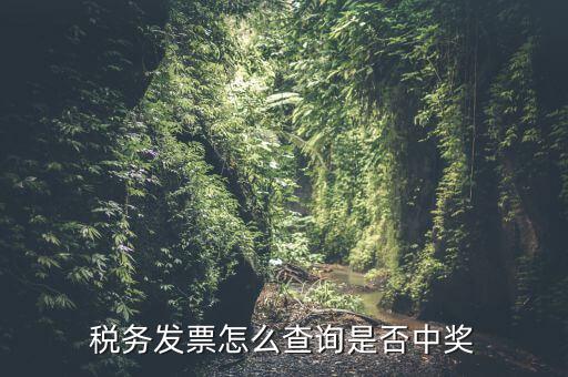 稅務(wù)發(fā)票怎么查詢(xún)是否中獎(jiǎng)