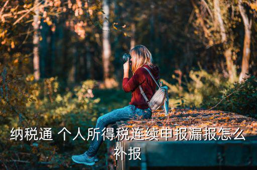 源泉扣繳如何補申報，個人所得稅代扣代繳系統(tǒng) 補申報怎樣操作