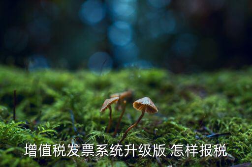 如何更新發(fā)票系統(tǒng)版本，如何將開票軟件升級為最新版本