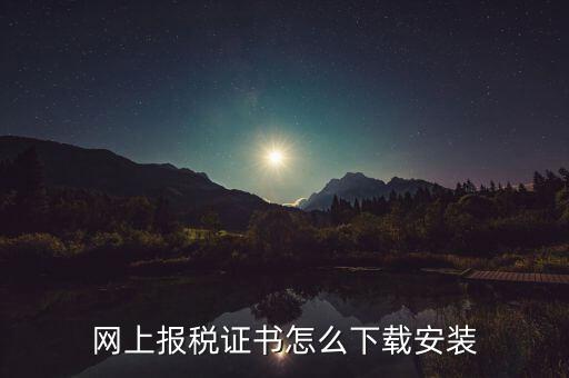 如何下載電子稅務(wù)印章，網(wǎng)上報稅證書怎么下載安裝