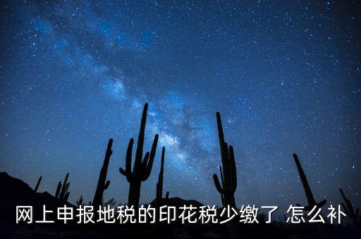 網(wǎng)上申報(bào)地稅的印花稅少繳了 怎么補(bǔ)