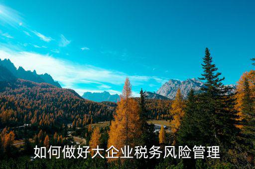 如何加強(qiáng)對重點(diǎn)企業(yè)的稅務(wù)管理，加強(qiáng)大企業(yè)的稅收管理有何良策