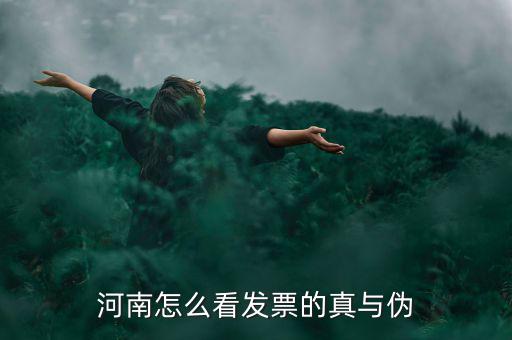 河南怎么看發(fā)票的真與偽