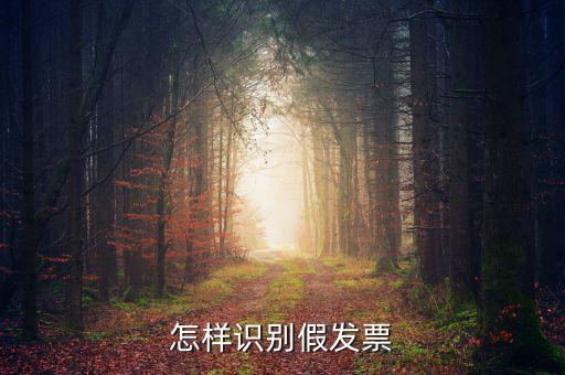 如何驗(yàn)證假發(fā)票，怎么識(shí)別假發(fā)票啊