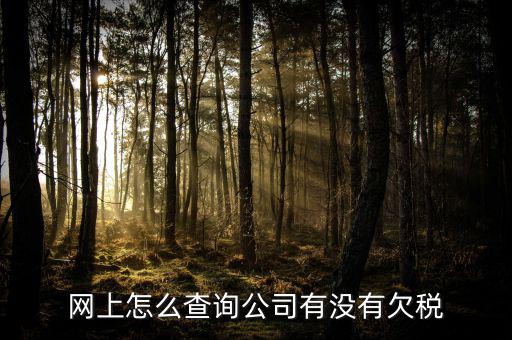 網(wǎng)上怎么查詢公司有沒(méi)有欠稅