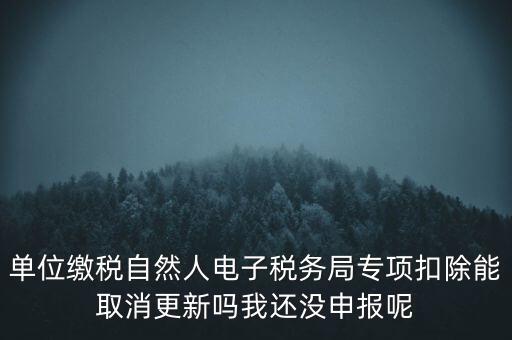 單位繳稅自然人電子稅務局專項扣除能取消更新嗎我還沒申報呢