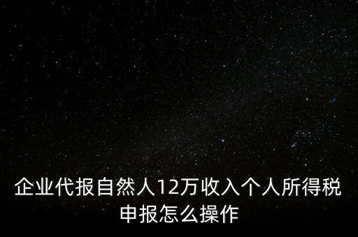 企業(yè)代報(bào)自然人12萬(wàn)收入個(gè)人所得稅申報(bào)怎么操作