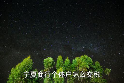 寧夏商行個體戶怎么交稅