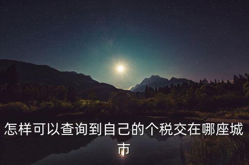 如何查詢個人所得稅所交地點(diǎn)，怎樣可以查詢到自己的個稅交在哪座城市