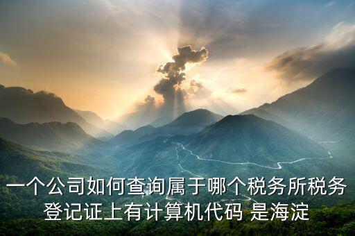 企業(yè)屬于哪個國稅分局如何查詢，怎么查詢公司的主管稅務機關