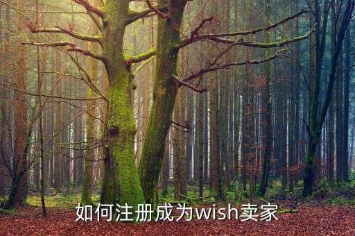 如何注冊成為wish賣家