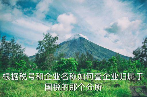 如何查詢企業(yè)所屬國稅分局，根據(jù)稅號和企業(yè)名稱如何查企業(yè)歸屬于國稅的那個(gè)分所