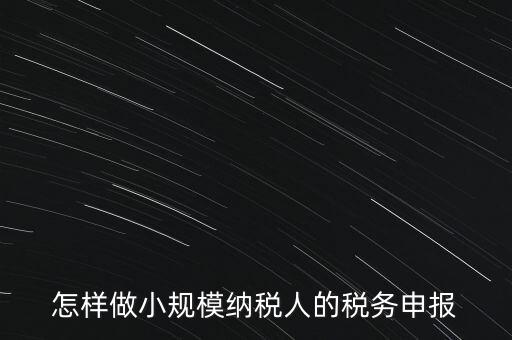 怎樣做小規(guī)模納稅人的稅務申報