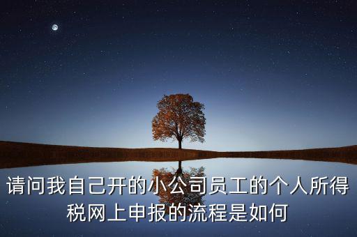 請問我自己開的小公司員工的個人所得稅網(wǎng)上申報的流程是如何