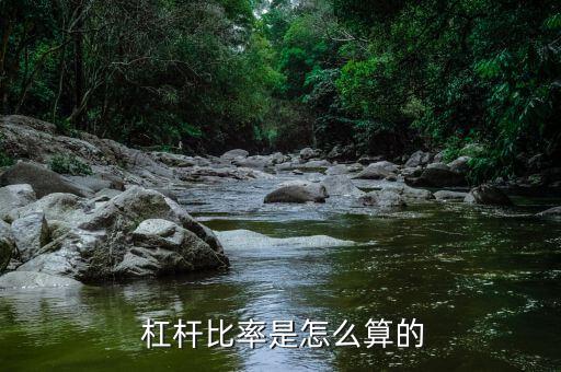  杠桿比率是怎么算的