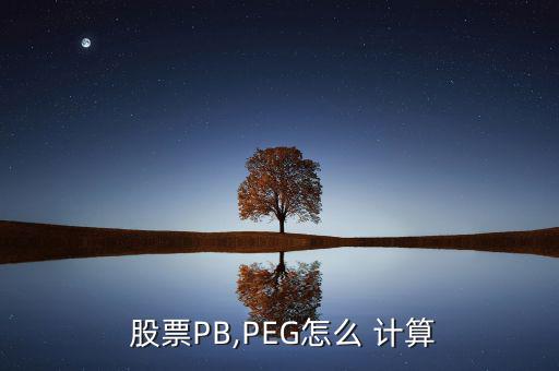 股票peg怎么計算,a股票當(dāng)前市盈率為20倍