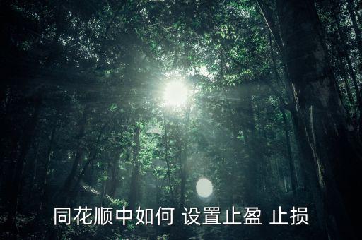 怎么設(shè)置止贏(yíng)止損,同花順如何止盈?