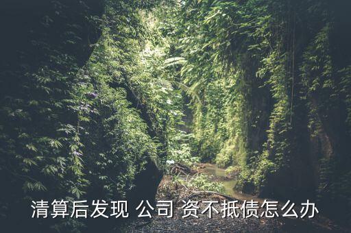 清算后發(fā)現(xiàn) 公司 資不抵債怎么辦