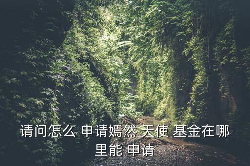 請問怎么 申請嫣然 天使 基金在哪里能 申請