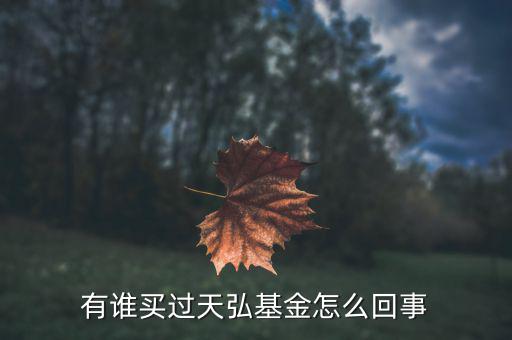 有誰(shuí)買(mǎi)過(guò)天弘基金怎么回事