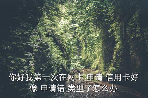 你好我第一次在網(wǎng)上 申請(qǐng) 信用卡好像 申請(qǐng)錯(cuò) 類型了怎么辦