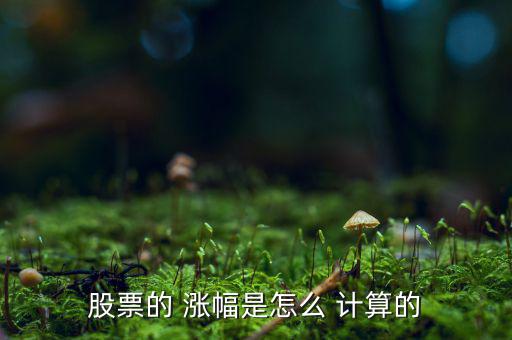 怎么計算漲幅,漲跌幅怎么算?大盤指數(shù)和股票是一樣的