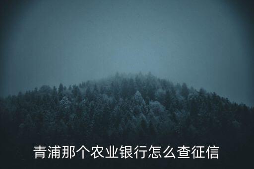 青浦那個農業(yè)銀行怎么查征信