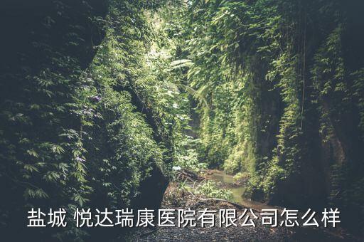 鹽城悅達(dá)資本怎么樣,鹽城悅達(dá)康瑞醫(yī)院有限公司在江蘇省注冊