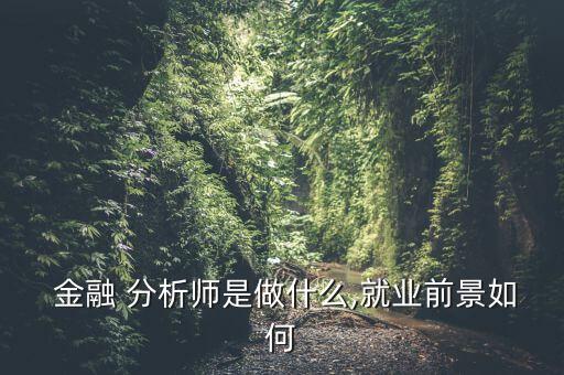 高級(jí)金融分析師怎么樣,錢和上帝說(shuō)話在金融分析師眼里是真的