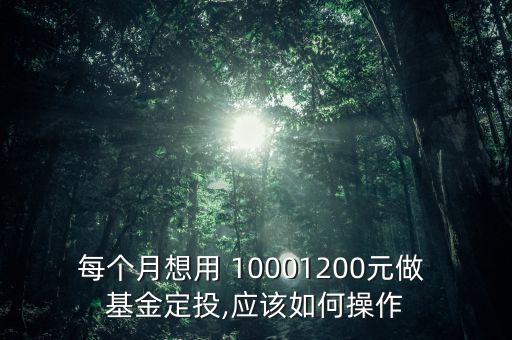 每個月想用 10001200元做 基金定投,應(yīng)該如何操作