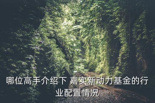 嘉實(shí)新興產(chǎn)業(yè)怎么樣,嘉實(shí)新興產(chǎn)業(yè)開放式基金招募說(shuō)明書