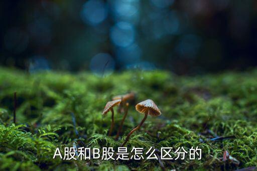 A股和B股是怎么區(qū)分的