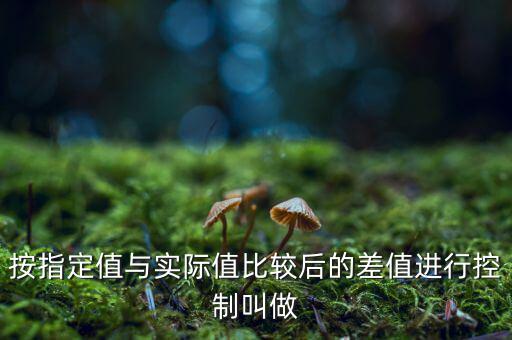 按指定值與實(shí)際值比較后的差值進(jìn)行控制叫做