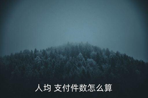 支付寶成交筆數(shù)怎么看,電子商務(wù)相關(guān)指標如何查看?