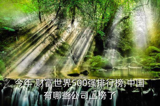 今年 財(cái)富世界500強(qiáng)排行榜,中國(guó)有哪些公司上榜了