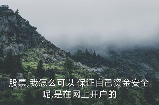 股票,我怎么可以 保證自己資金安全呢,是在網(wǎng)上開戶的