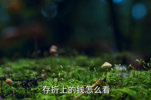 存折的錢怎么看,存折又稱紅寶書記錄存款人數(shù)量的書籍