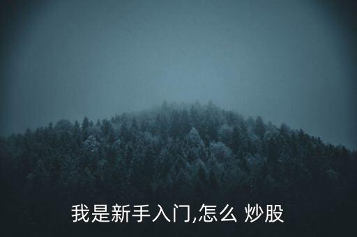 怎么玩炒股,股票知多少?問(wèn)與答（13）