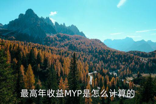 最高年收益MYP是怎么計算的