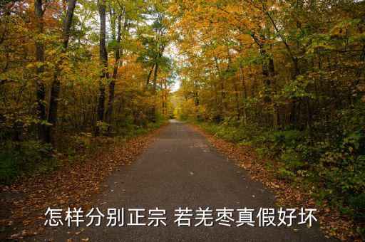 若羌紅棗怎么保存,新疆特色紅棗與西域紅棗之別