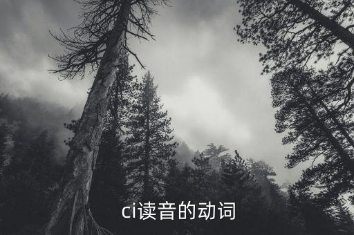 ci探的ci怎么寫,武漢出現(xiàn)第二起確診病例