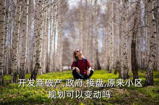 下一個開發(fā)商怎么樣接盤,開發(fā)商若破產(chǎn)房子就不能歸還給他