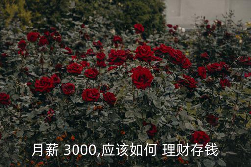 月薪 3000,應(yīng)該如何 理財(cái)存錢(qián)